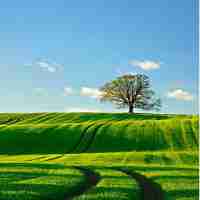 html所‍用‍的‍软​件‍叫​什​么‍的‍